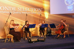 バイオリン演奏