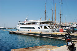 バイオリン演奏